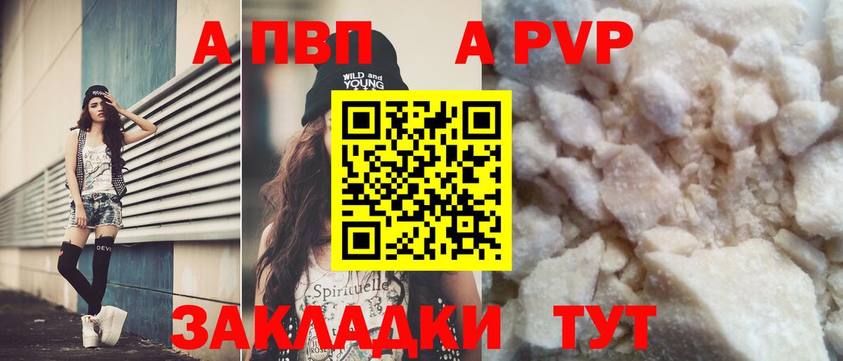 A PVP СК Волхов