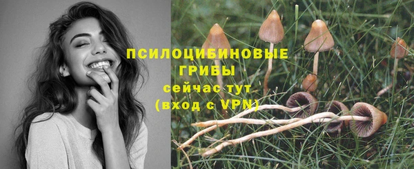 mix Аркадак