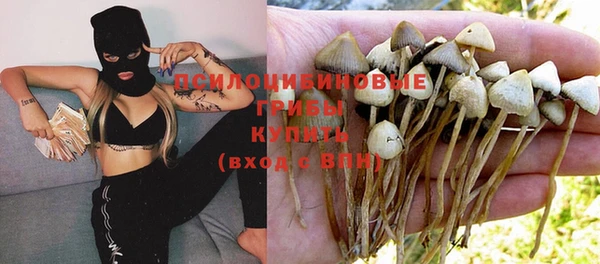 дурь Иннополис