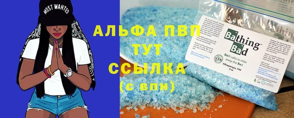 гидра Инсар