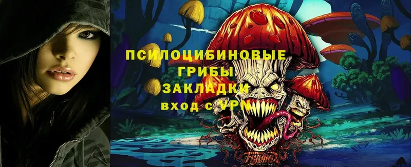 Псилоцибиновые грибы Cubensis  кракен онион  Волхов 