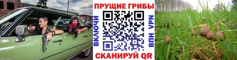 Галлюциногенные грибы MAGIC MUSHROOMS  Волхов 
